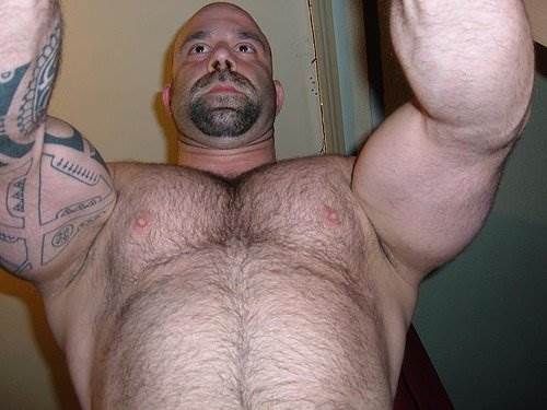 Image #2353